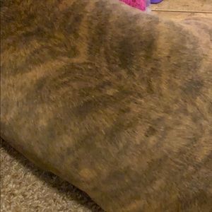 Meet your Posher, Maggie